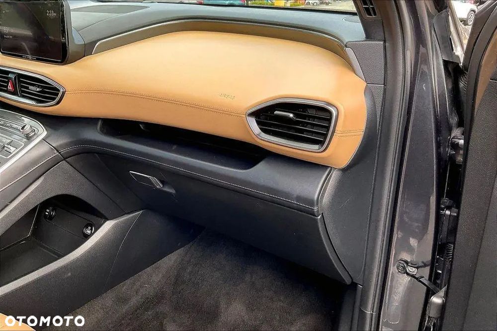 Hyundai Santa Fe - 21