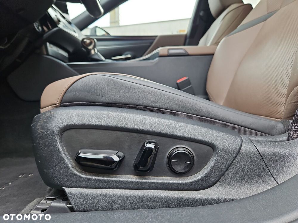 Lexus ES 300h F Sport Design - 23