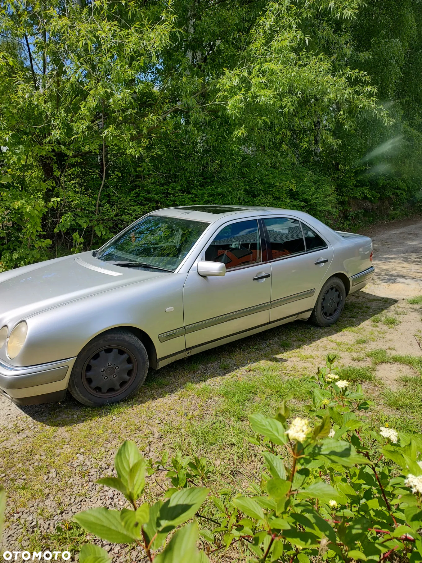 Mercedes-Benz Klasa E 290 TD Elegance - 5