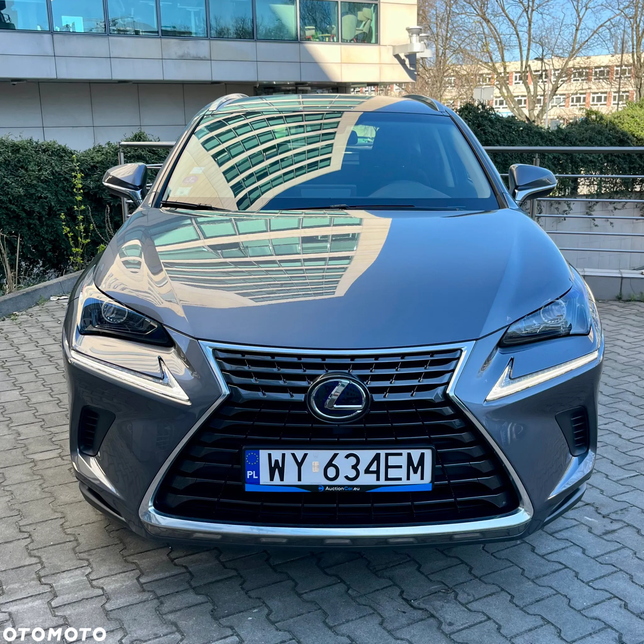 Lexus NX 300h Business Edition - 2