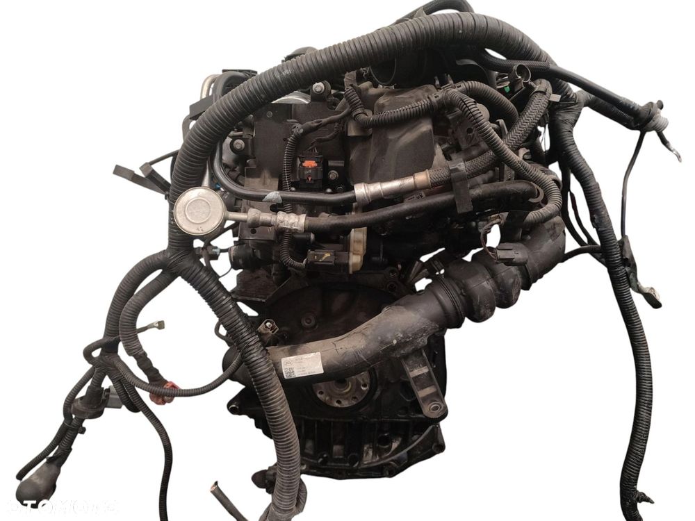 SILNIK KOMPLETNY FORD MONDEO MK5 (2014-2019) 2.0 TDCI 150KM T7CN - 11