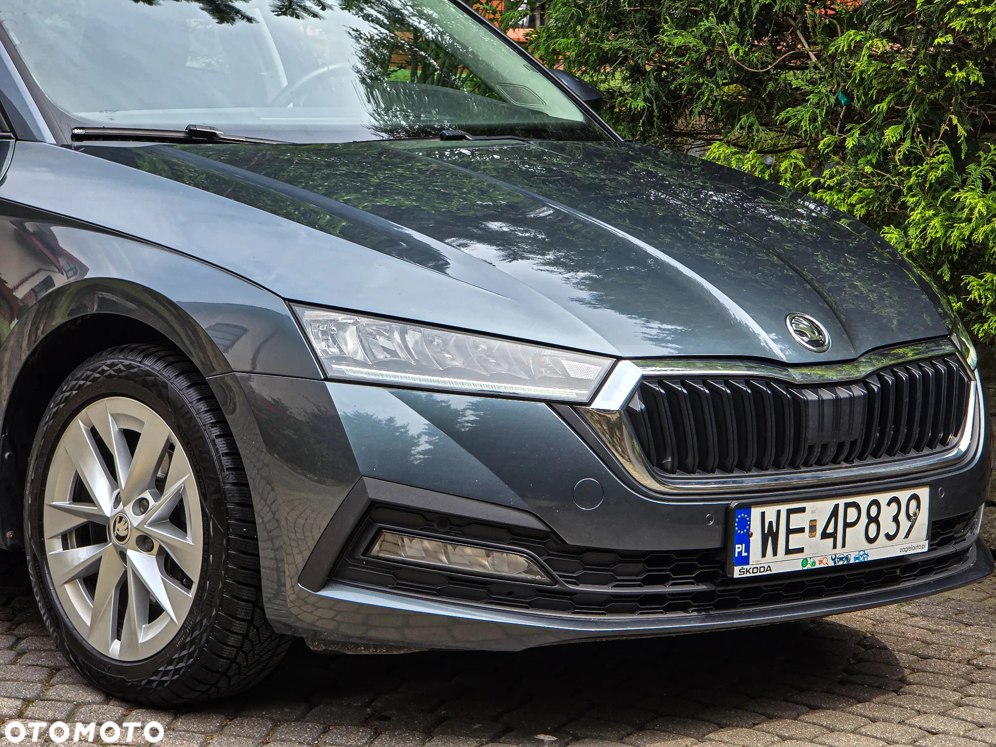 Skoda Octavia 1.5 TSI GPF ACT Ambition DSG - 10