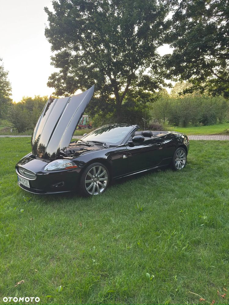 Jaguar XK - 13