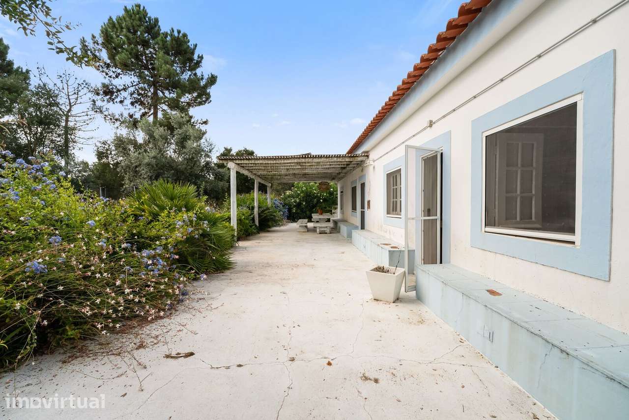 Quinta 4.6 ha, Melides, Grandola - Grande imagem: 4/41