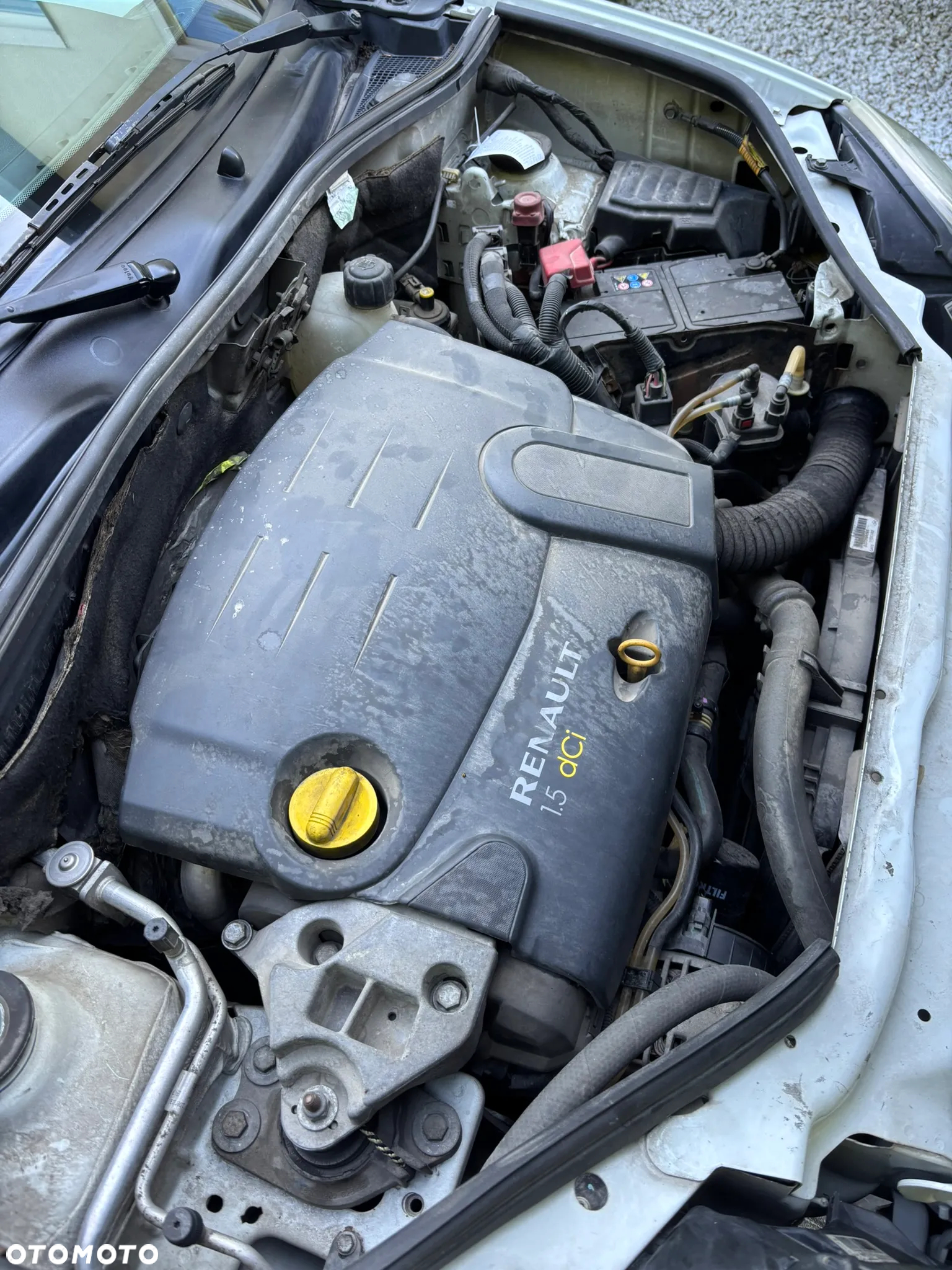 Renault Kangoo - 14