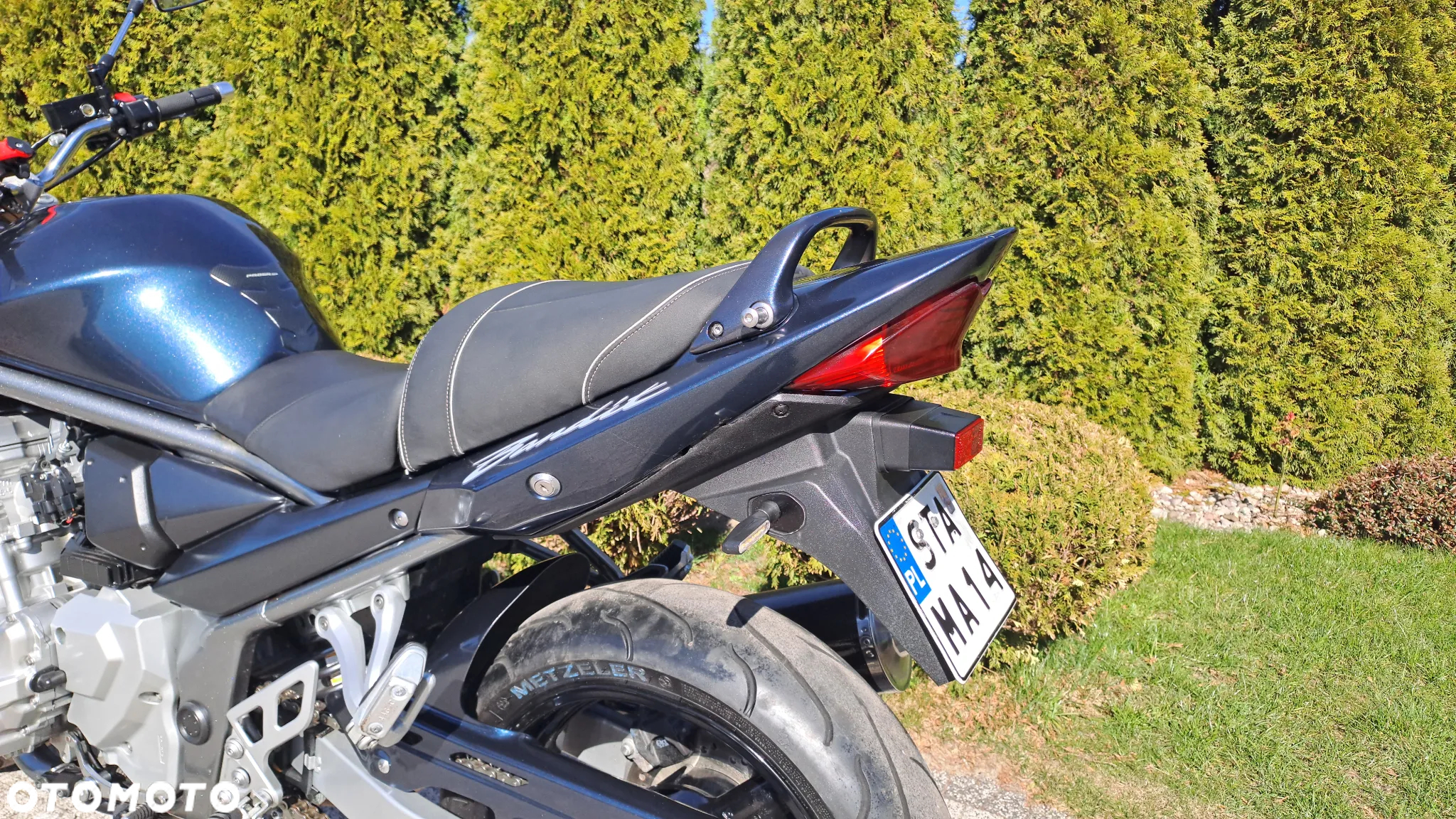 Suzuki Bandit - 24