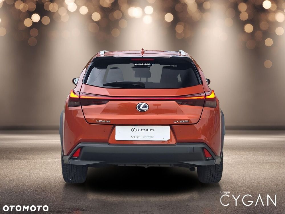 Lexus UX 250h GPF Business Edition 2WD - 6