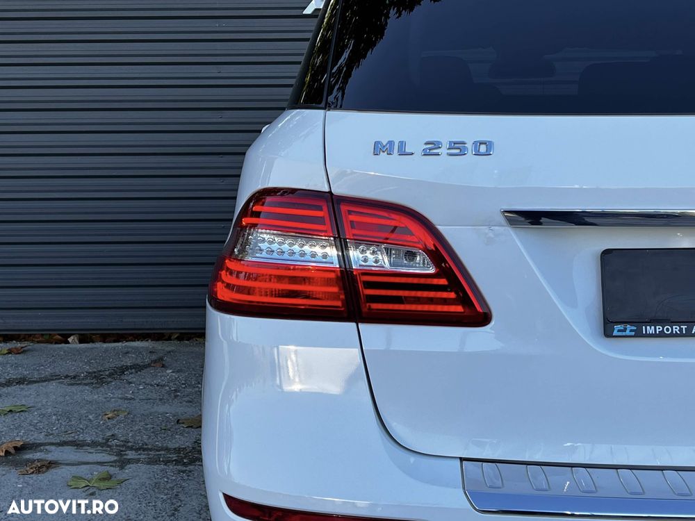 Mercedes-Benz ML 250 BlueTEC 4MATIC 7G-TRONIC - 26