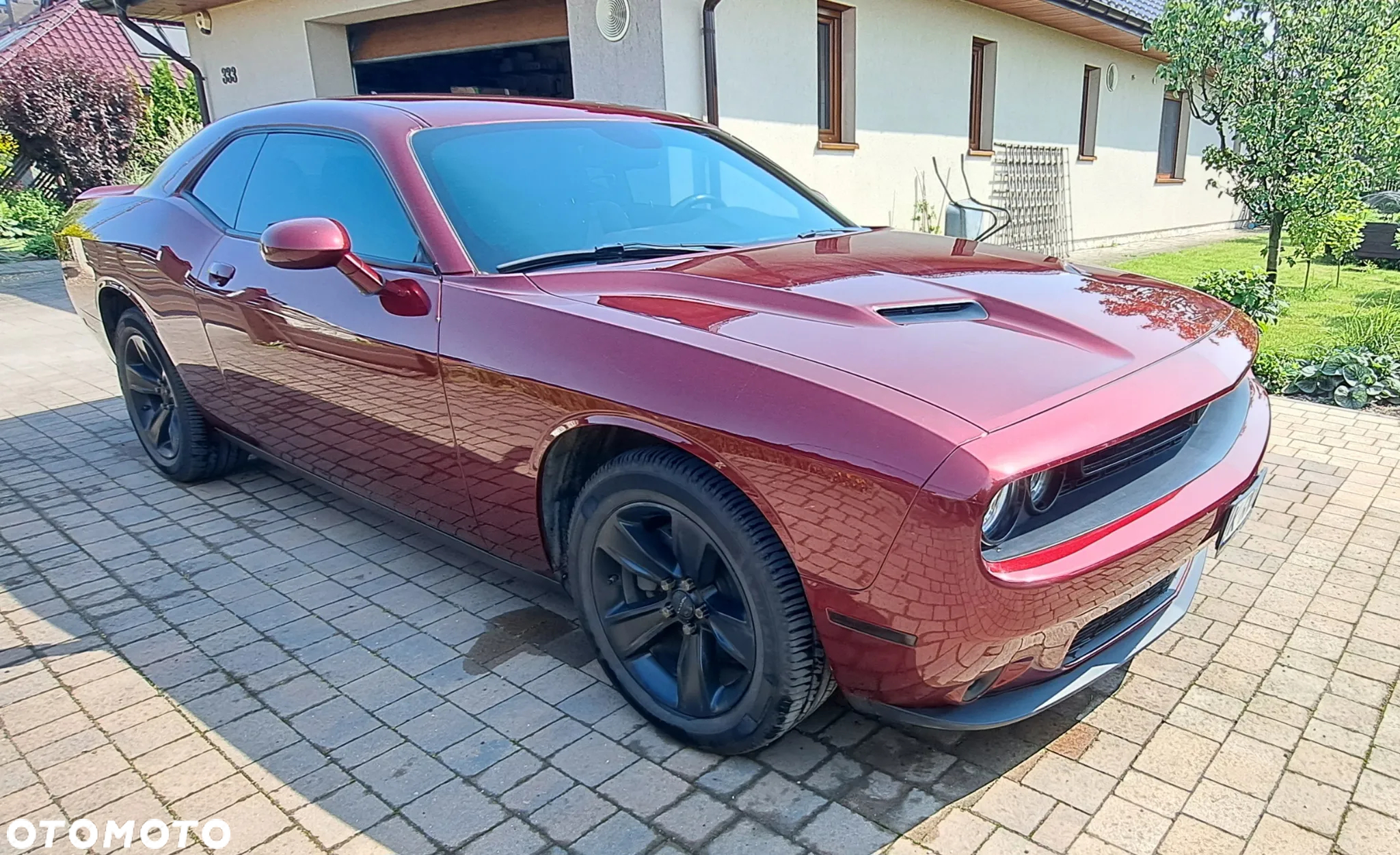 Dodge Challenger Automatik SXT Plus - 8