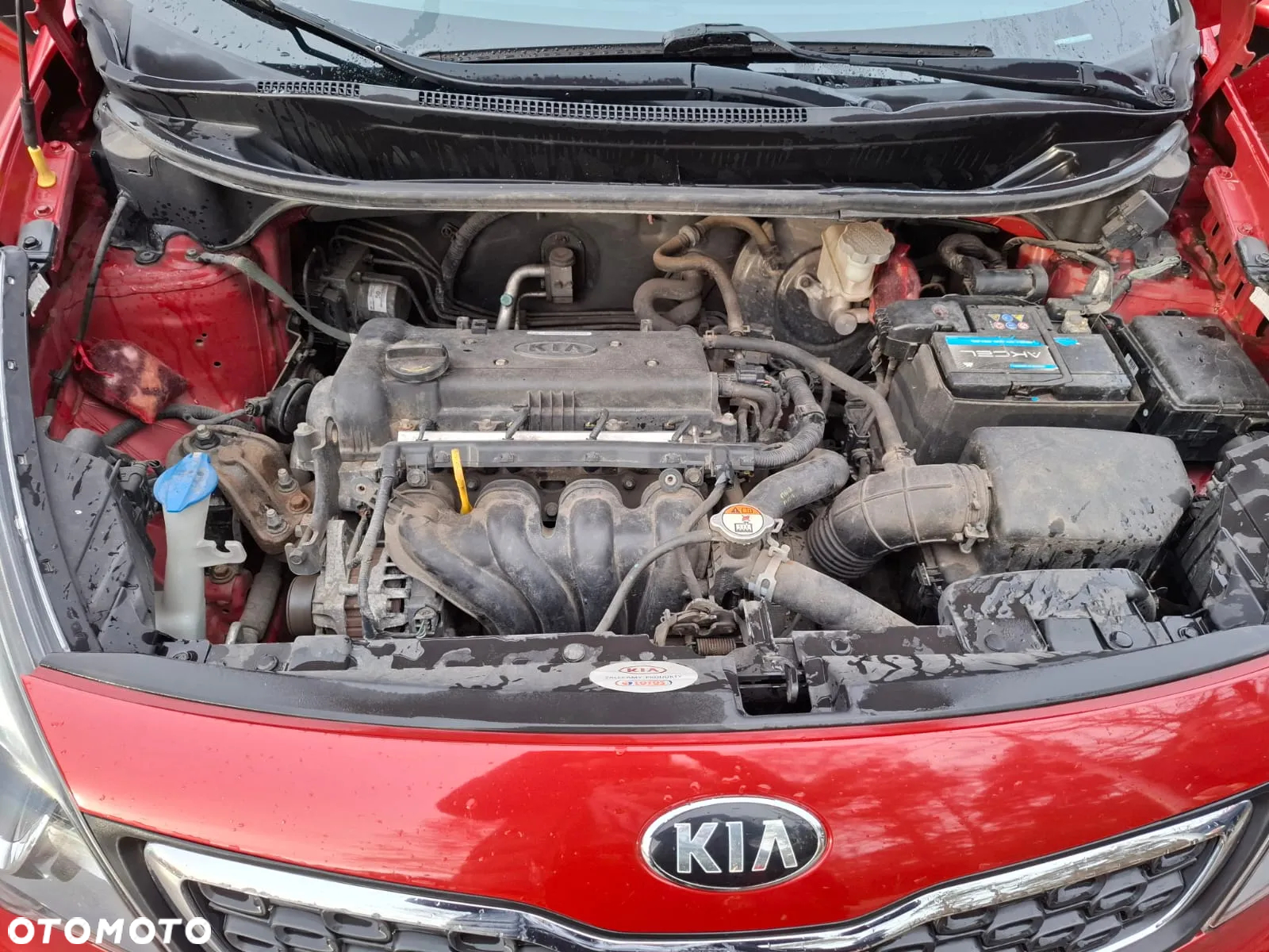 Kia Rio 1.4 M - 8