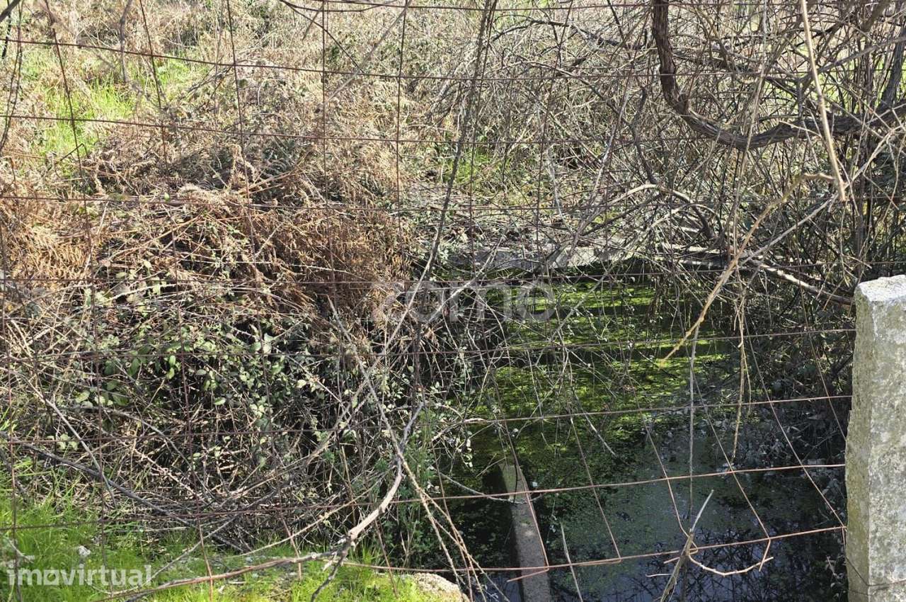 Terreno em Nelas para construção com projeto - Grande imagem: 3/26