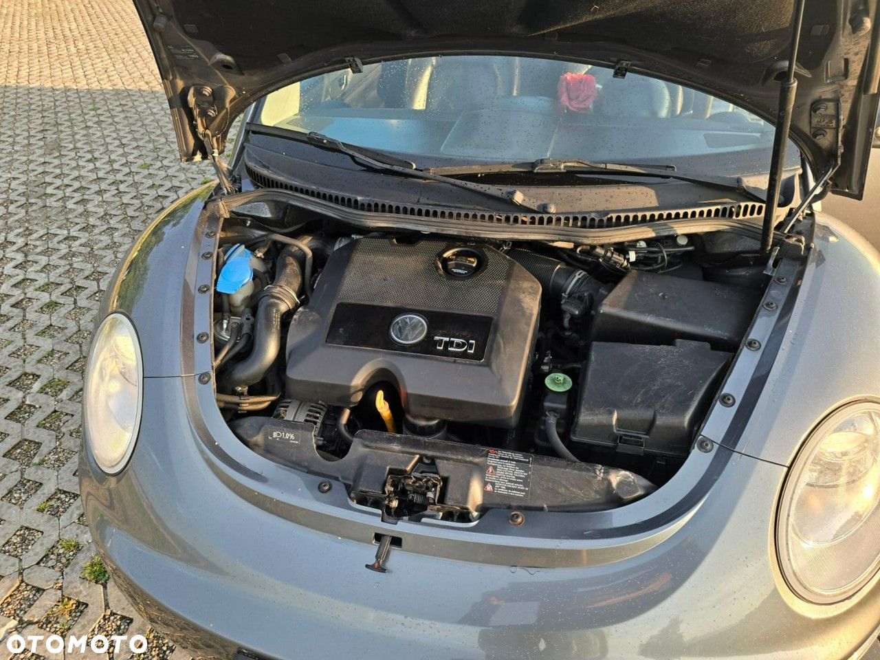 Volkswagen New Beetle - 30