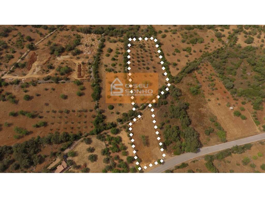 Terreno com Projecto Aprovado para Parque de Autocaravanas - Grande imagem: 2/14