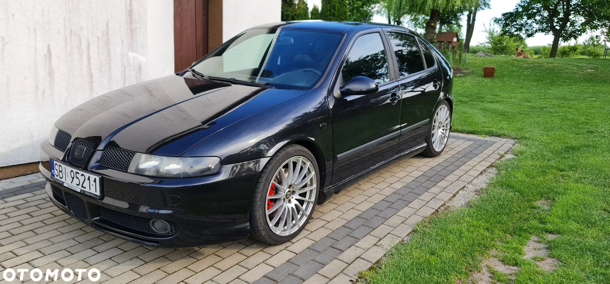 Seat Leon 1.9 TDI Sport - 34