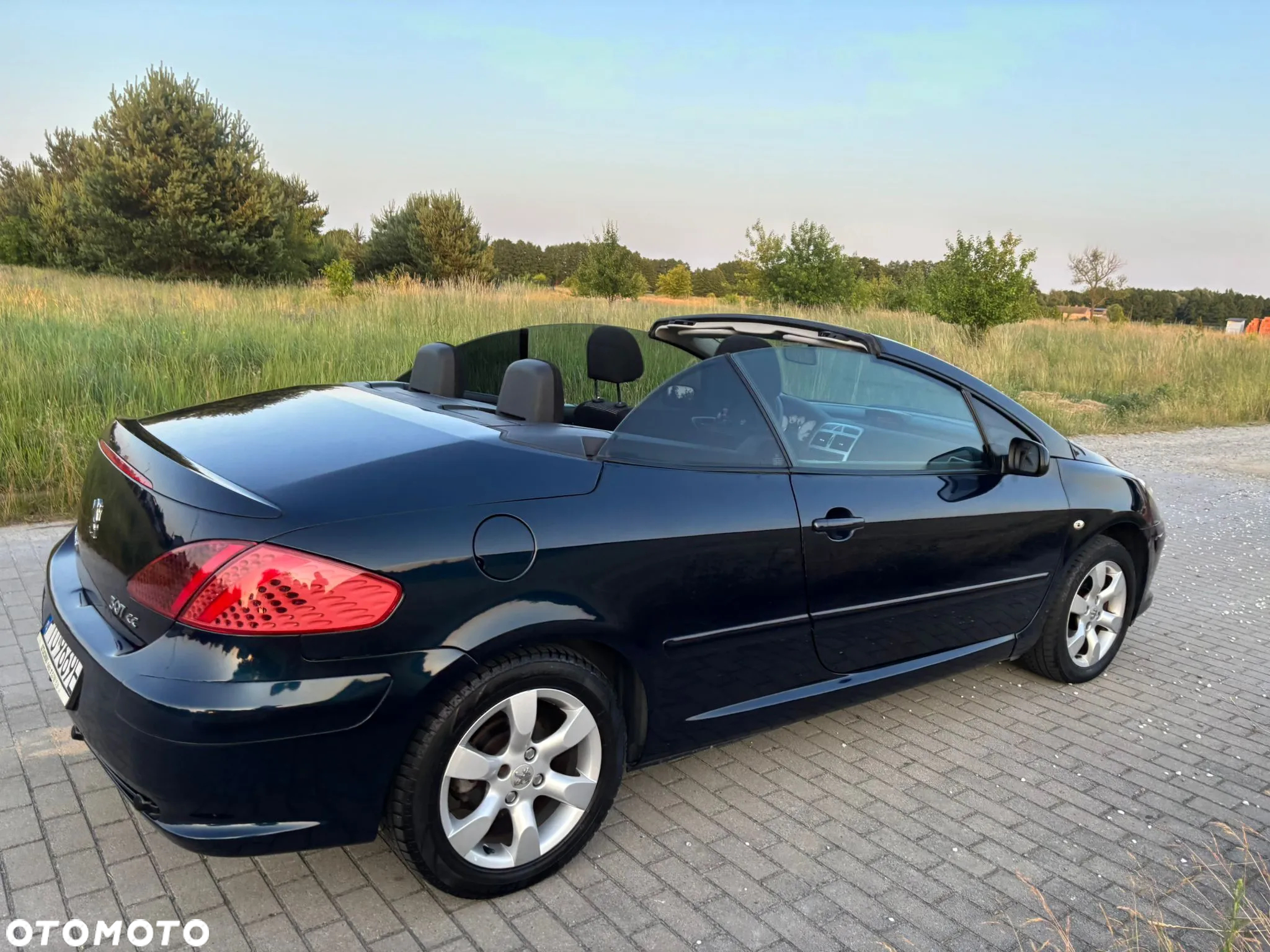 Peugeot 307 - 7