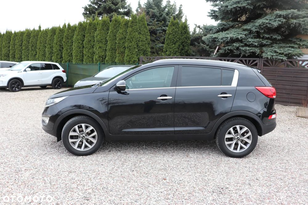 Kia Sportage 1.6 GDI Business Line L 2WD - 13