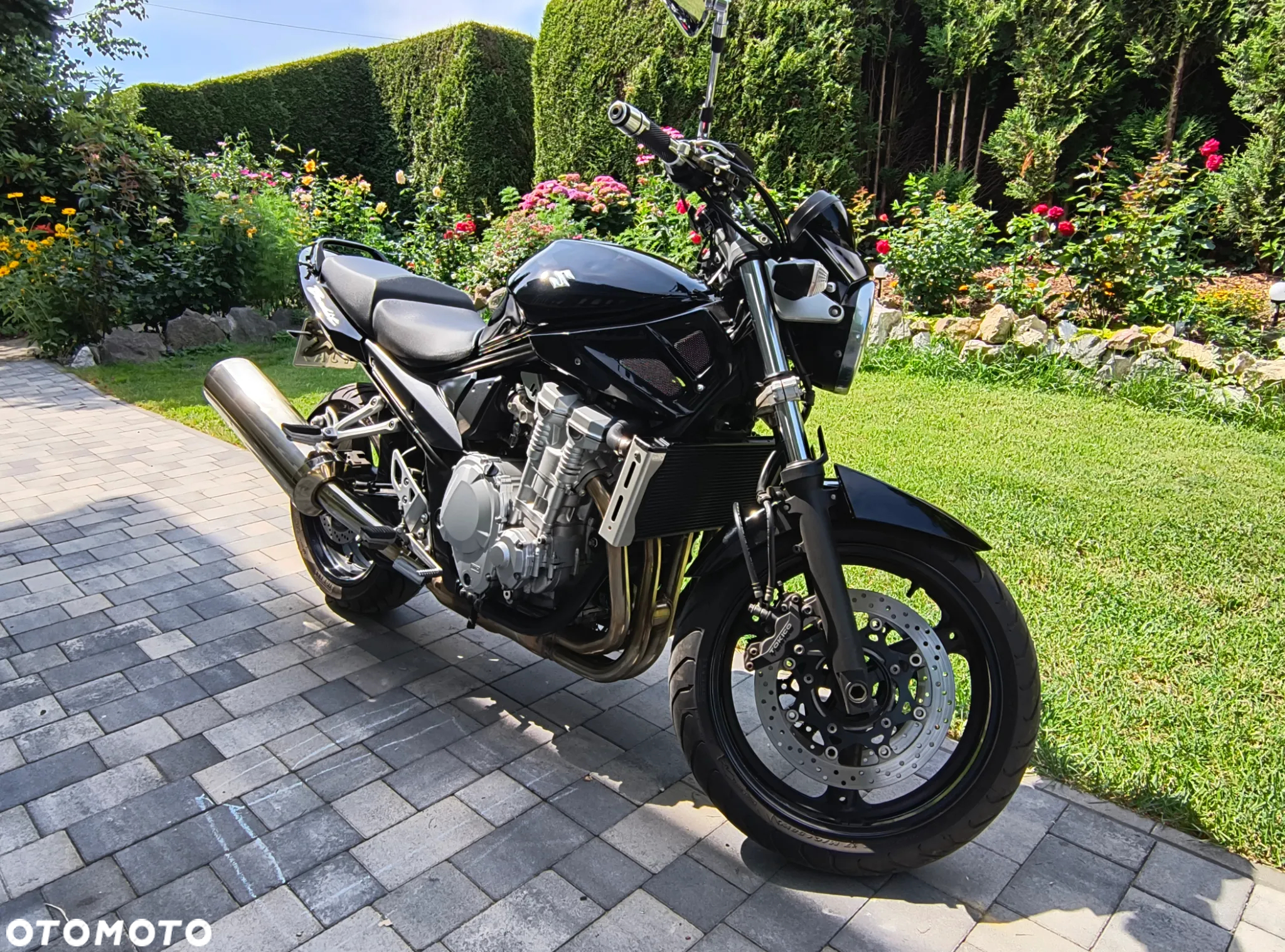 Suzuki Bandit - 5