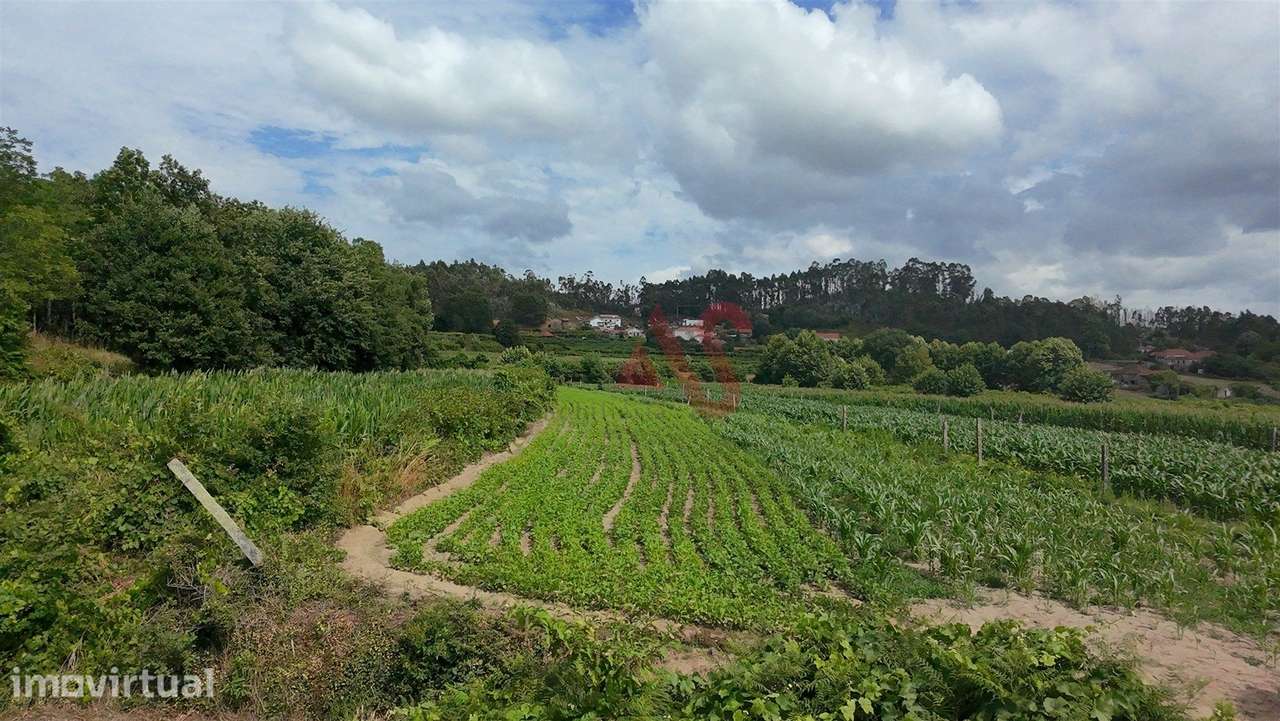 3 Terrenos Agrícola com 6815m2 em Silvares, Lousada - Grande imagem: 3/13