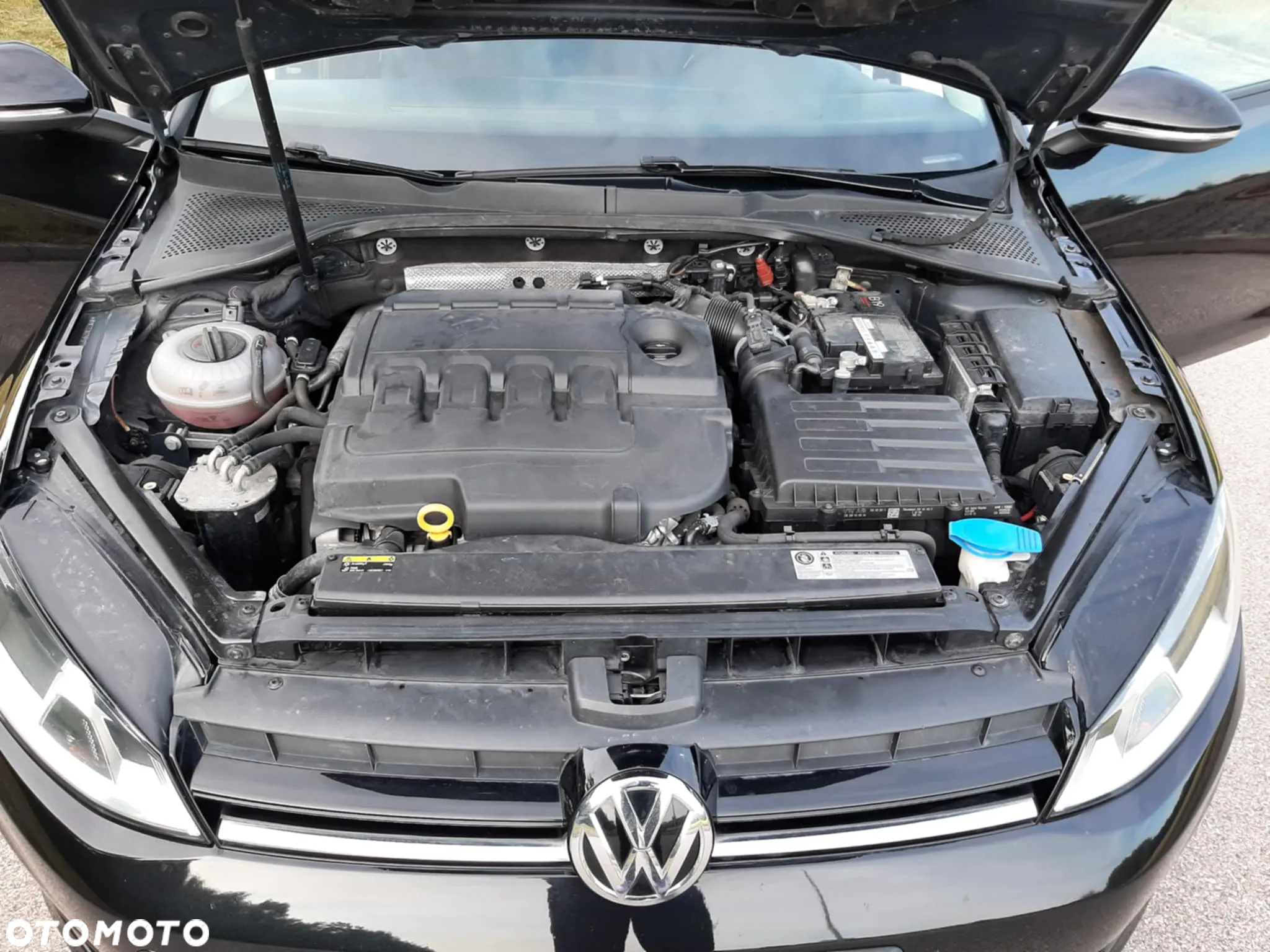 Volkswagen Golf - 10