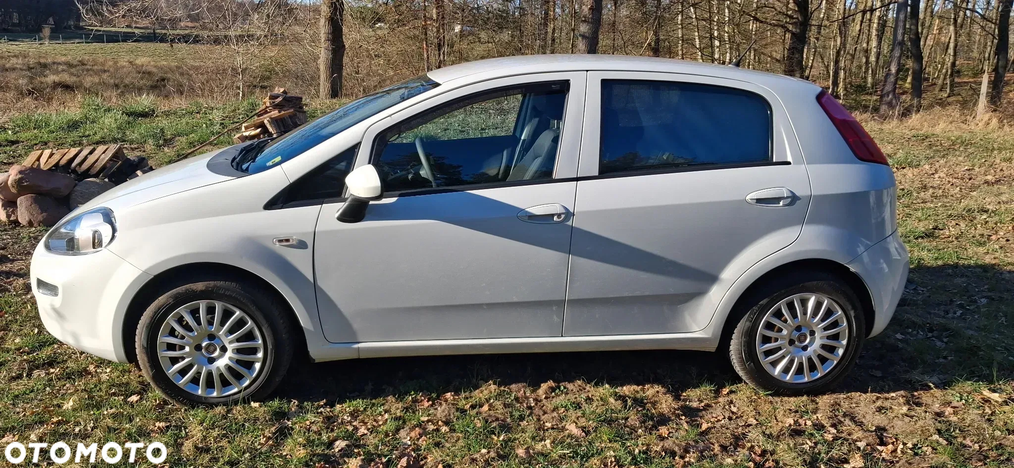 Fiat Punto - 5
