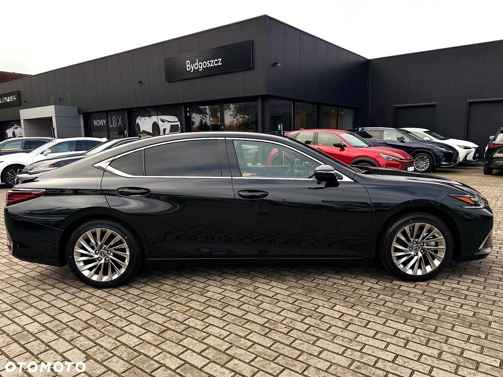 Lexus ES 300h Omotenashi - 8