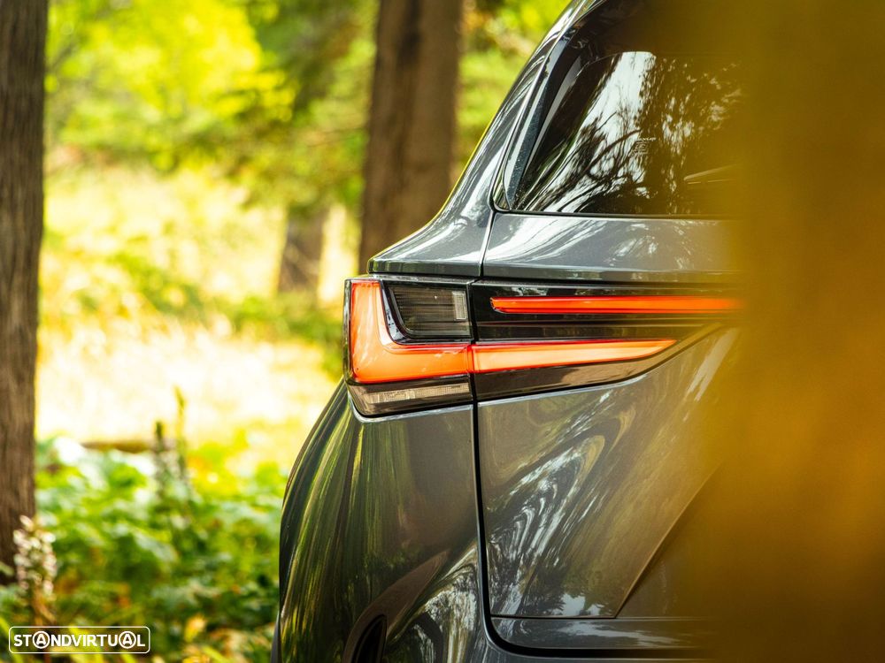 Lexus NX 450h+ Executive - 20