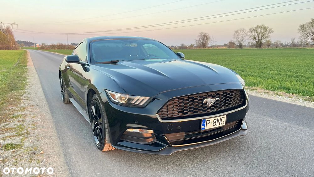 Ford Mustang 3.7 V6 - 19