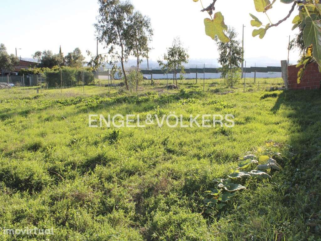 Terreno para construção residencial no Tojal - Grande imagem: 2/11