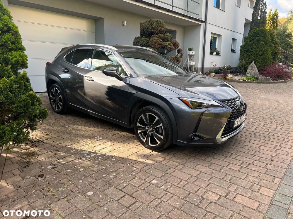 Lexus UX 250h GPF Business 2WD - 5