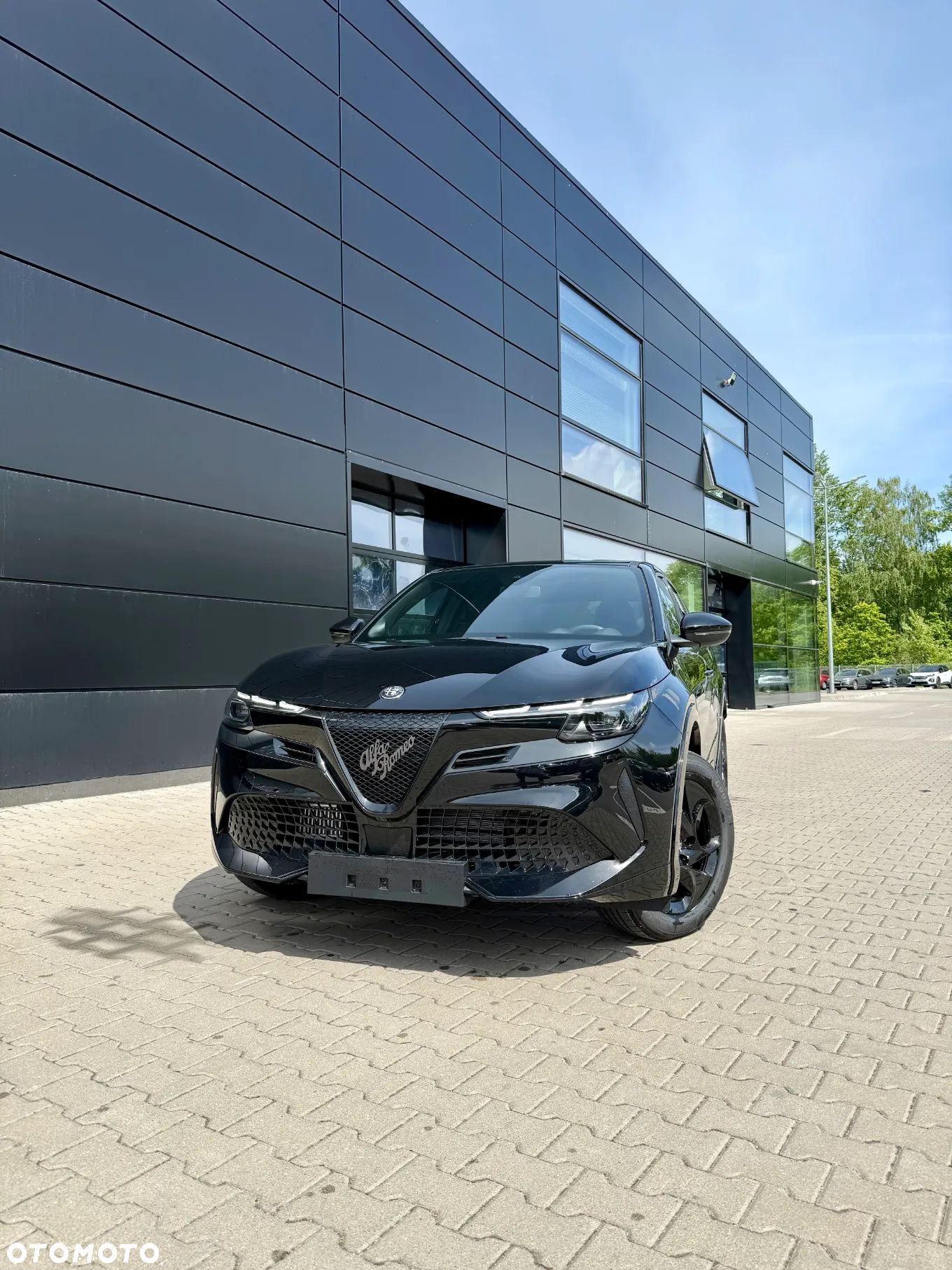 Alfa Romeo Junior - 1