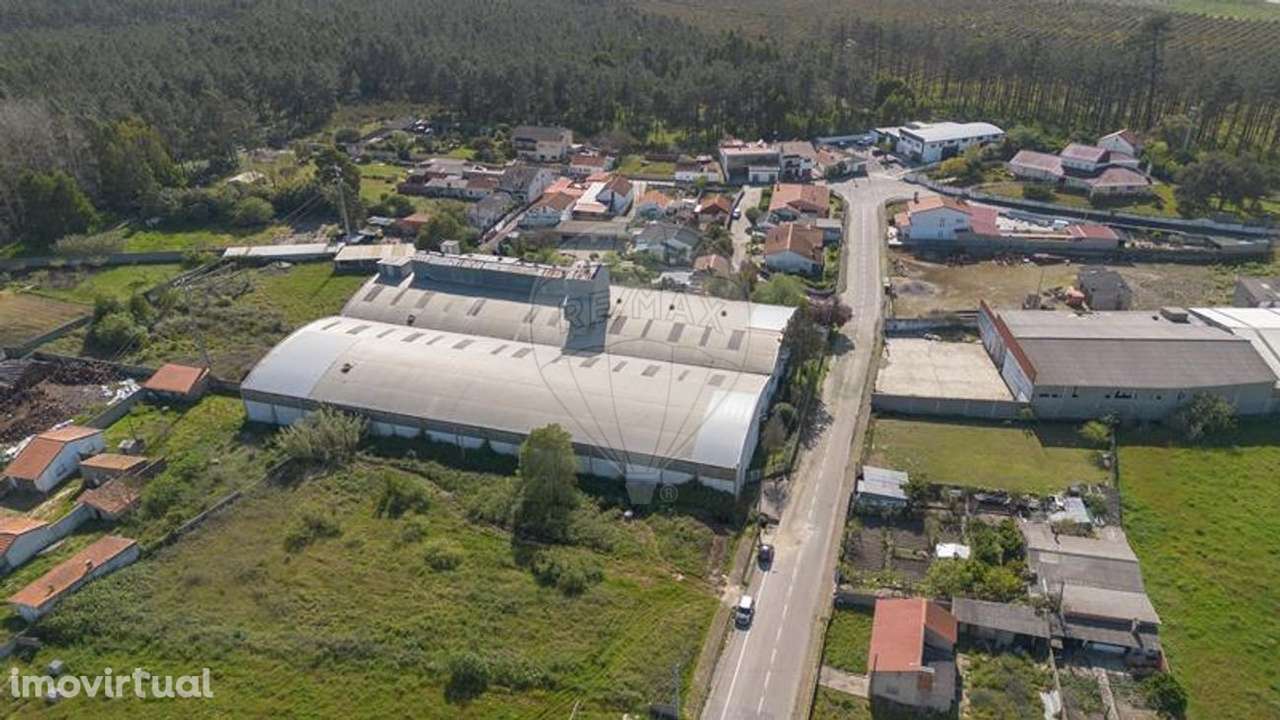 Armazém  para venda - Grande imagem: 3/46