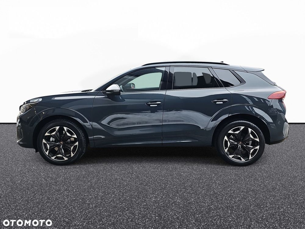 Cupra Terramar 2.0 TSI 4Drive DSG - 11
