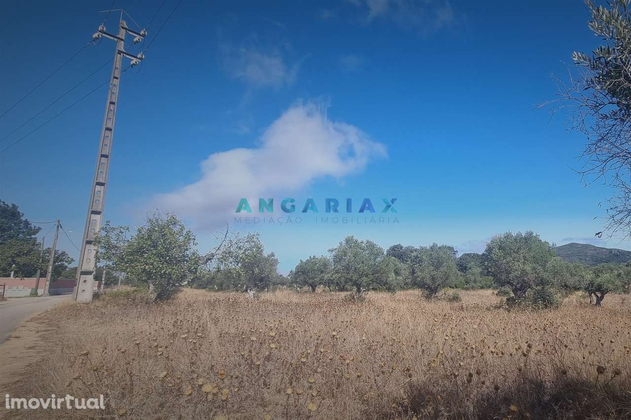ANG1195 - Terreno para Venda em Alcanena, Santarém - Grande imagem: 5/13