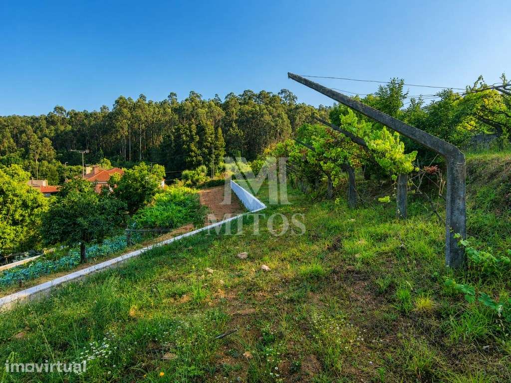 Terreno em zona de construção com 1.150 m² em Subportela - Viana do... - Grande imagem: 5/16