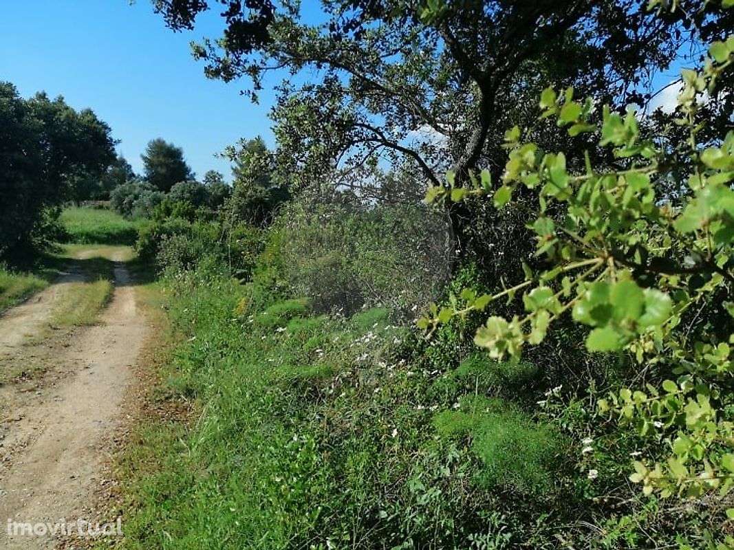 Terreno  para venda - Grande imagem: 2/5