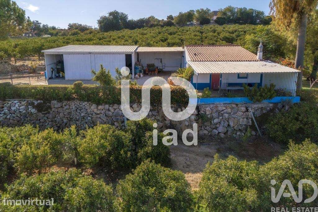 Casa / Villa T1 em Alcantarilha e Pêra de 75,00 m2 - Grande imagem: 2/25