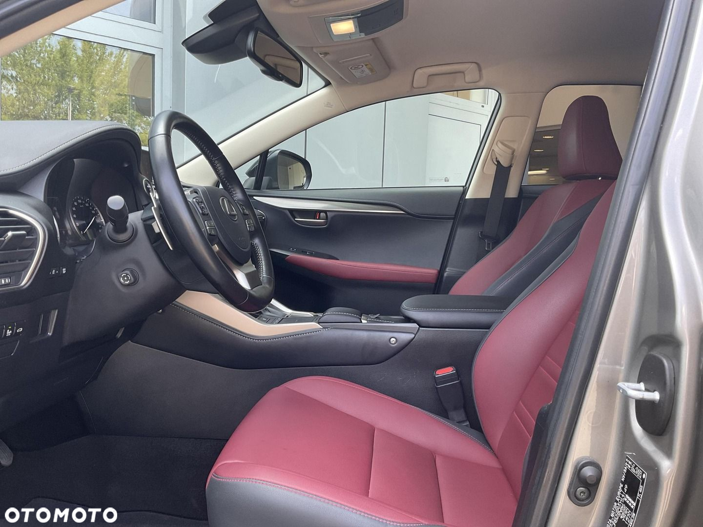 Lexus NX - 10