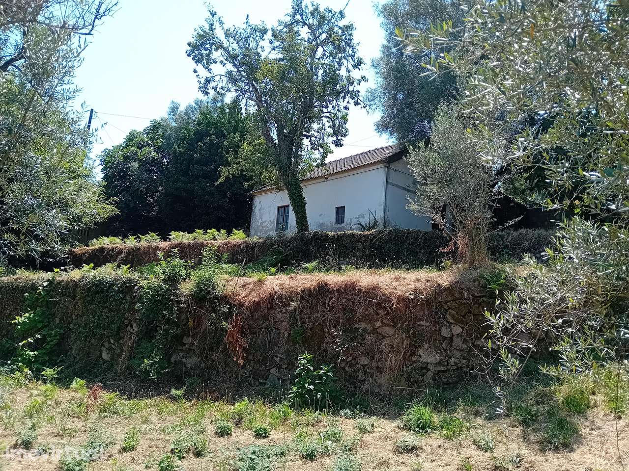 Moradia, 1 200 m², Cabaços e Fojo Lobal - Grande imagem: 5/8