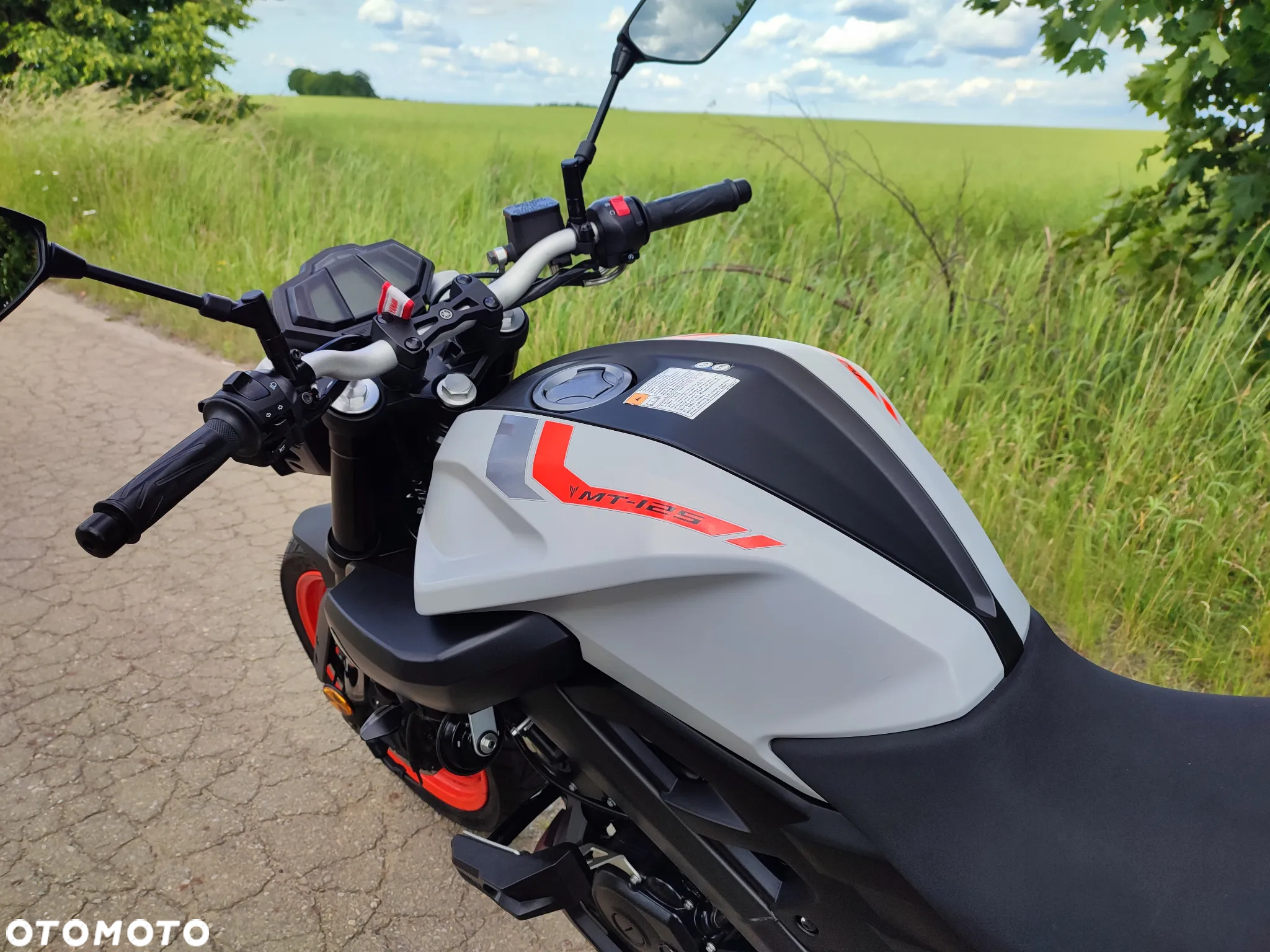 Yamaha MT - 15