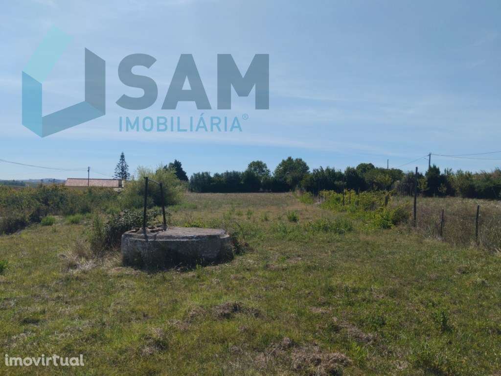 Terreno Urbano com 2500m2 - Grande imagem: 3/11