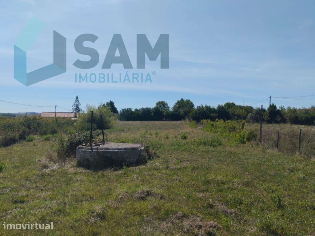 Terreno Urbano com 2500m2 - Grande imagem: 5/13