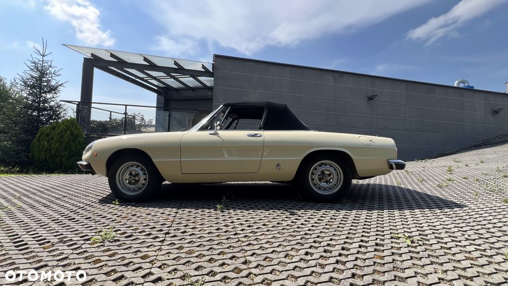 Alfa Romeo Spider - 3