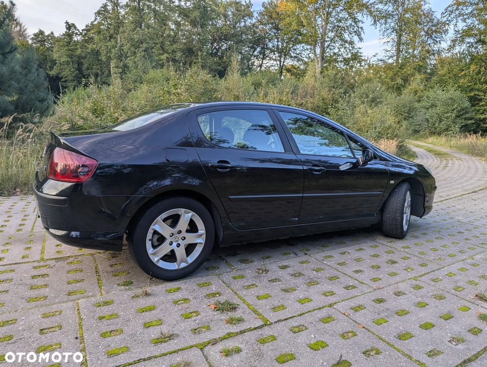 Peugeot 407 - 4