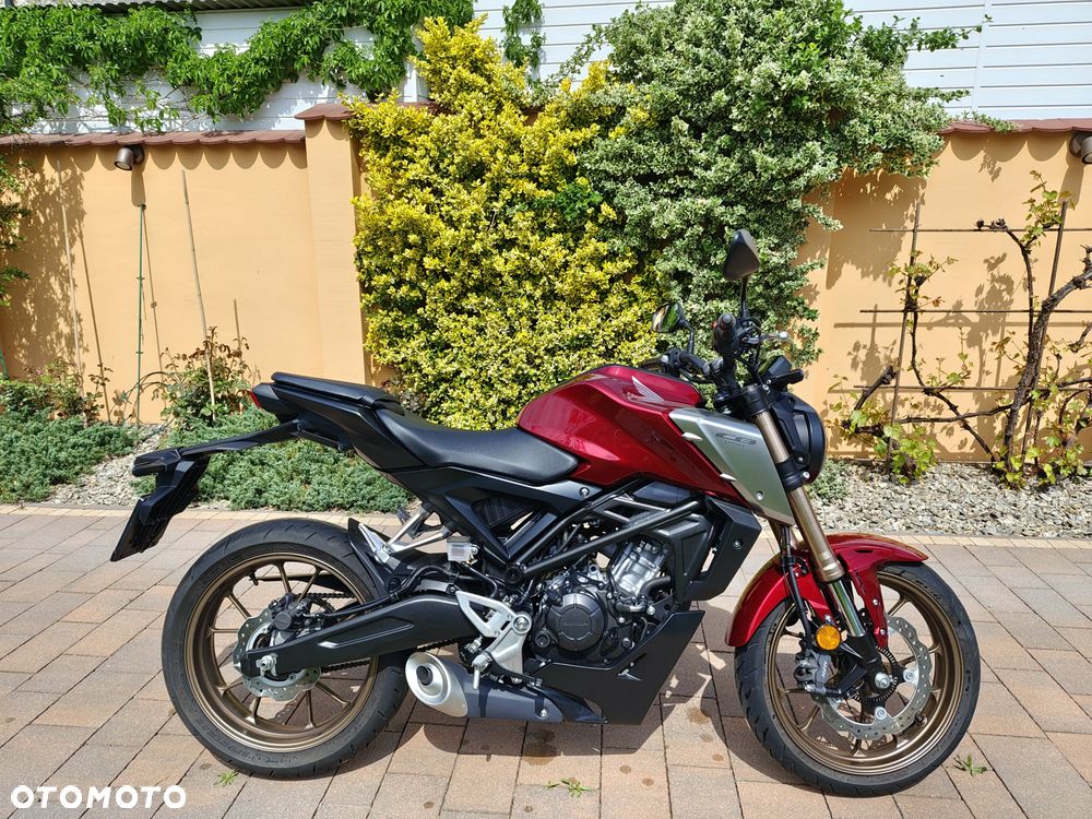 Honda CBR - 5