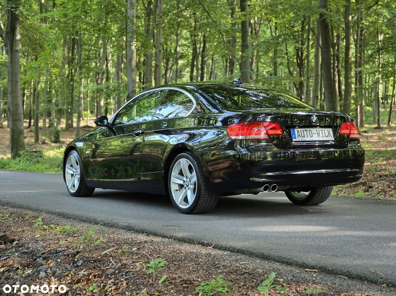 BMW Seria 3 - 38