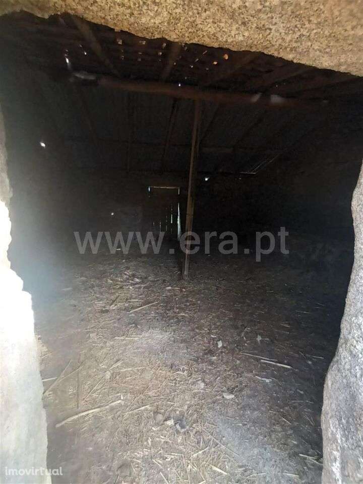 Quintinha / Fundão, Atalaia do Campo - Grande imagem: 4/20