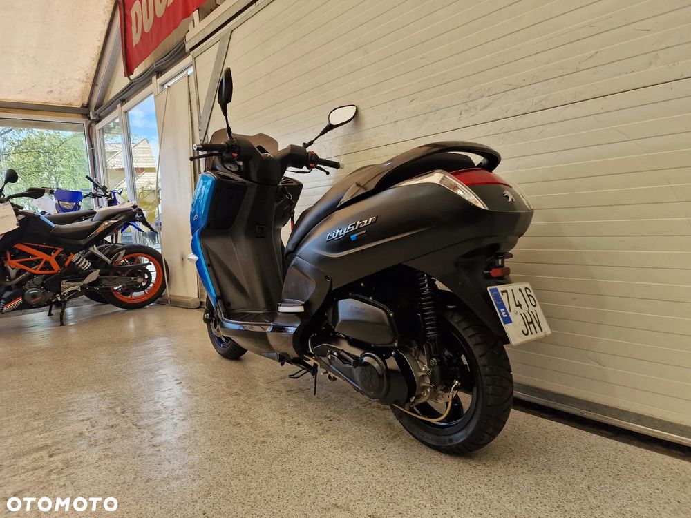 Peugeot Citystar - 5