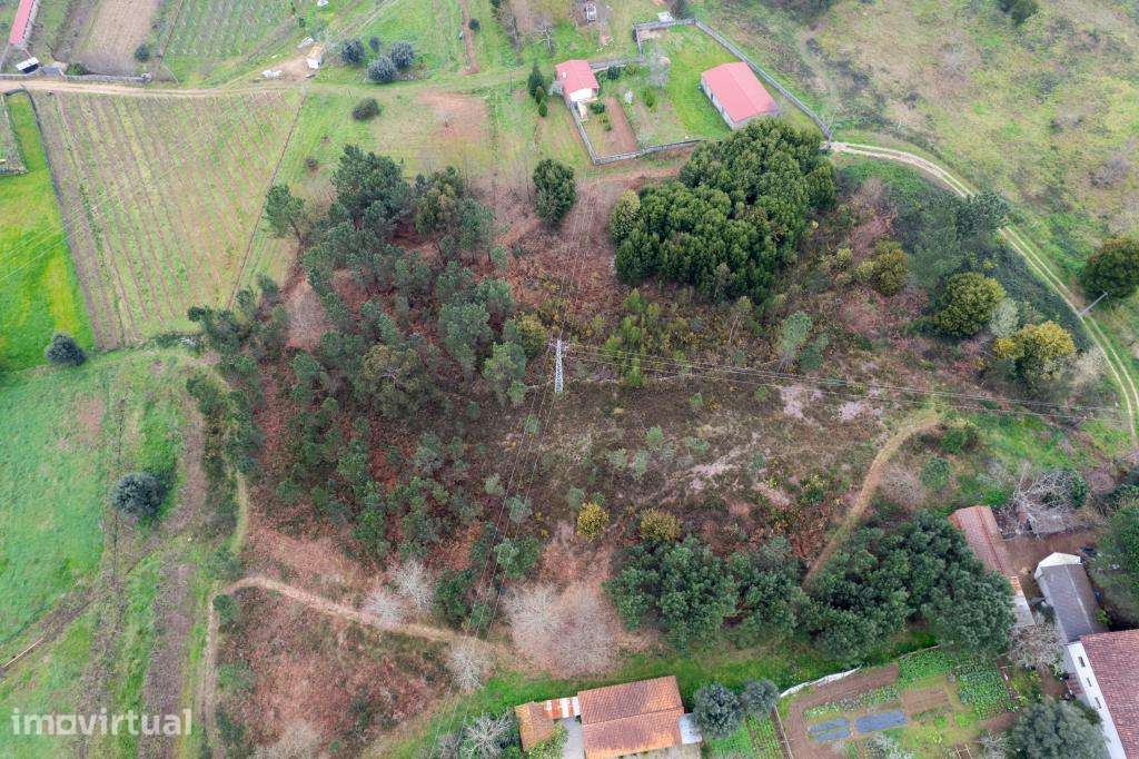 Terreno para construção - Grande imagem: 3/10