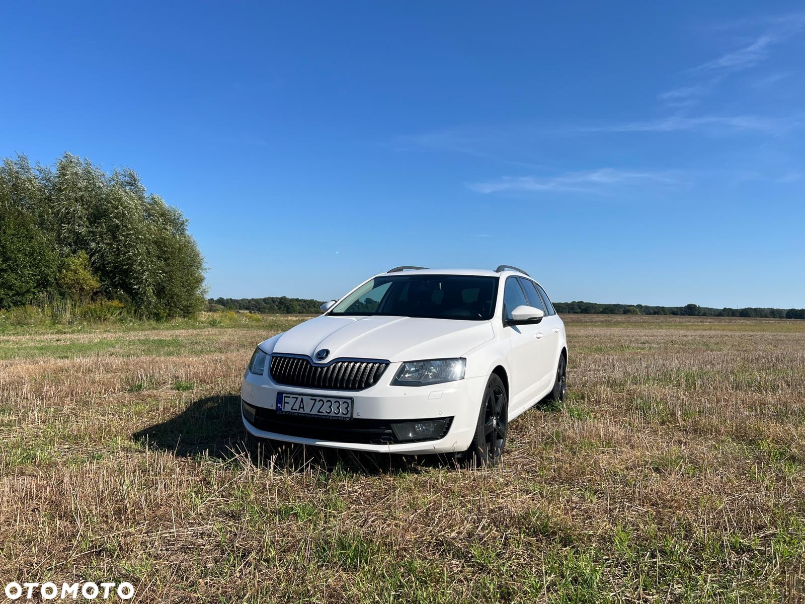 Skoda Octavia 2.0 TDI 4x4 Ambition DSG - 2