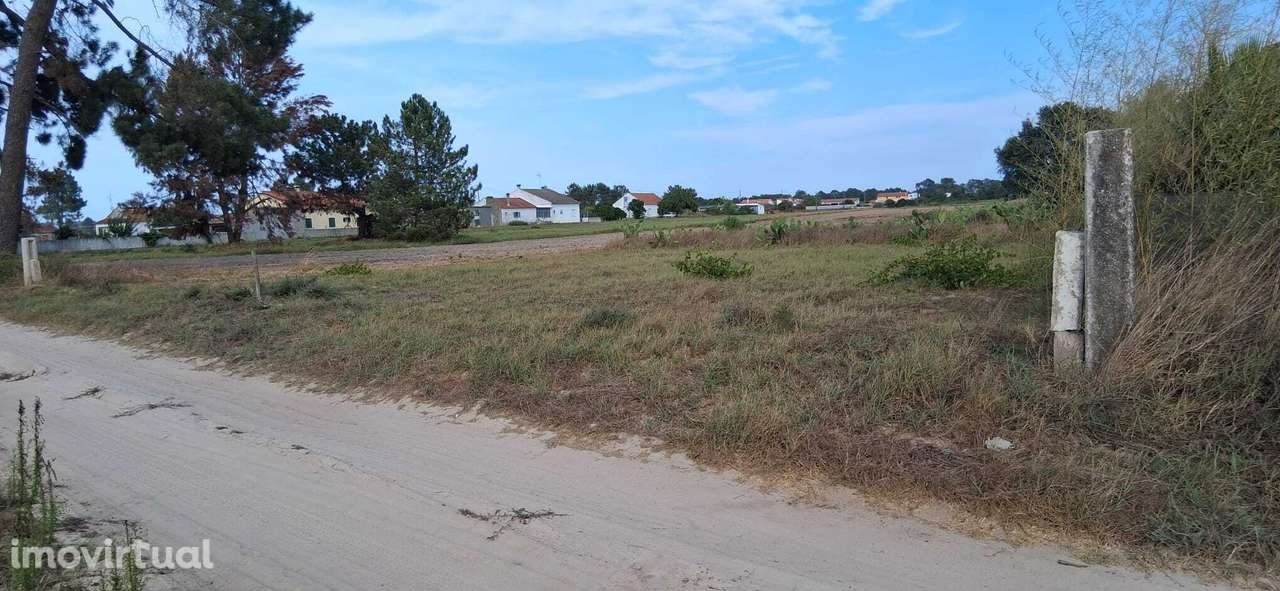 Terreno rustico 5000m2 com casa rustica 50 m2 em Marinhais - Grande imagem: 3/4